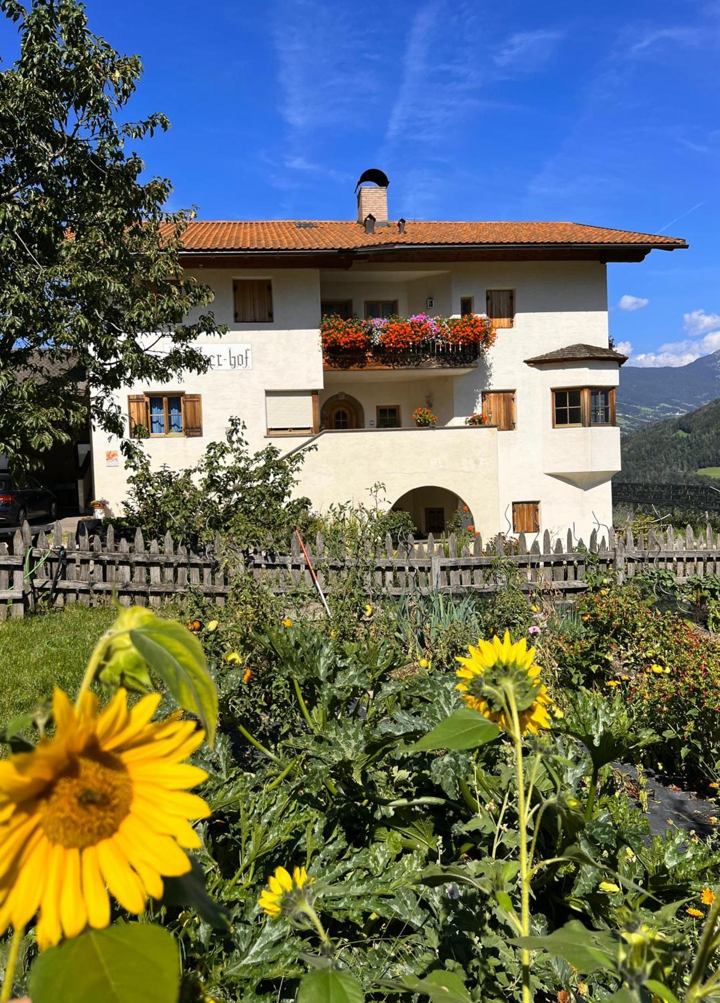 Gasserhof Barbiano  Extérieur photo